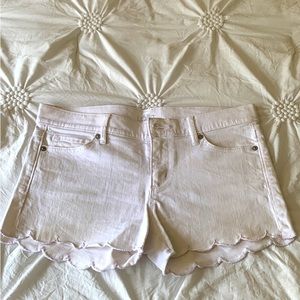 Loft shorts